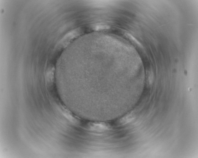 X0000088150475200705291427