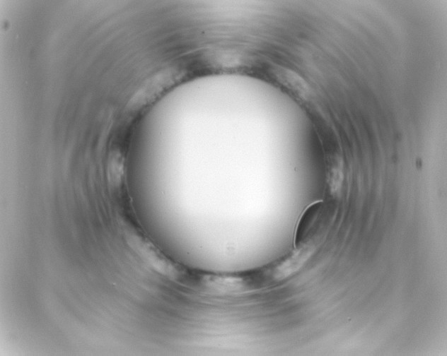 X0000088150476200705291427