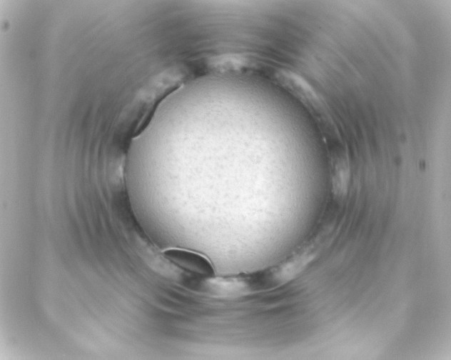 X0000088150477200705291427