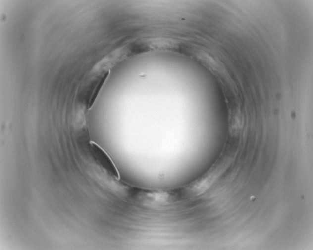 X0000088150478200705291427