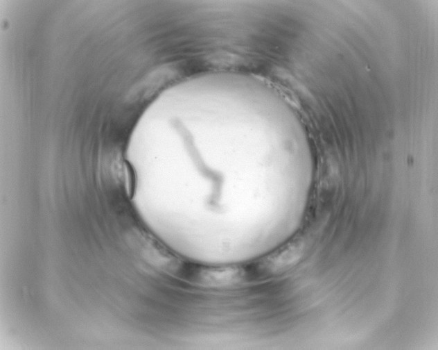 X0000088150479200705291427