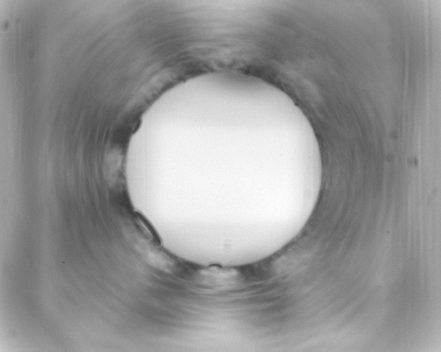 X0000088150480200705291427