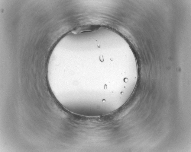 X0000088150481200705291426