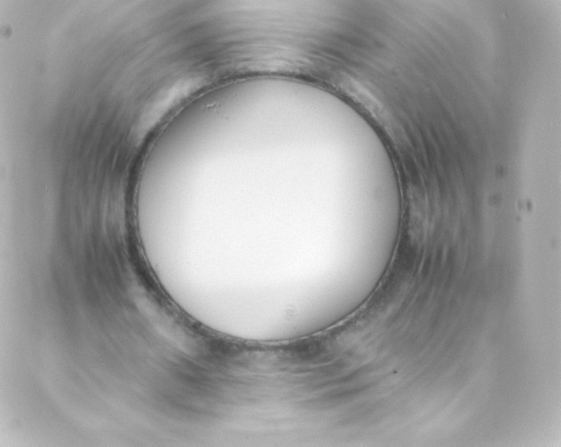 X0000088150482200705291426