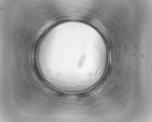 X0000088150483200705291426