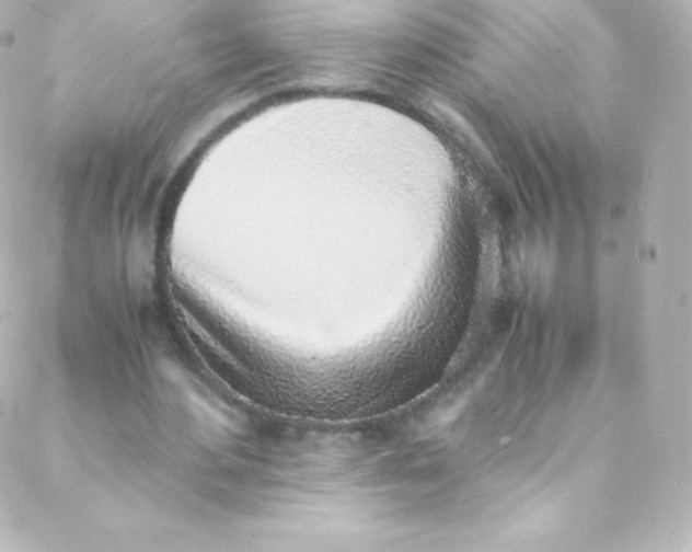 X0000088150484200705291426