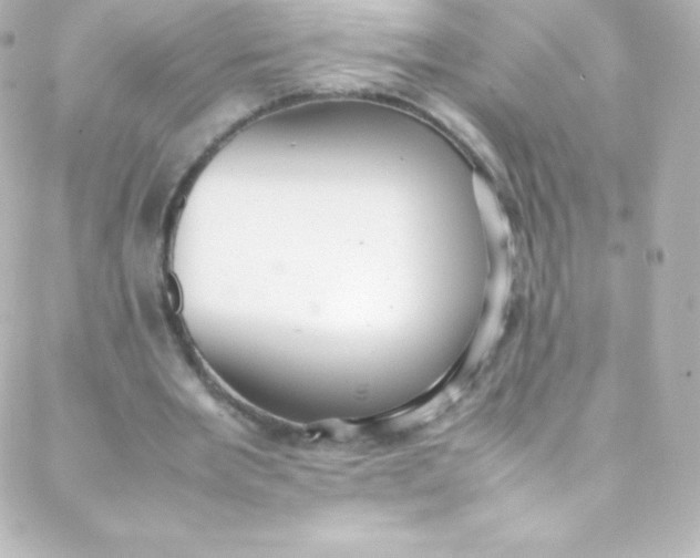 X0000088150485200705291426