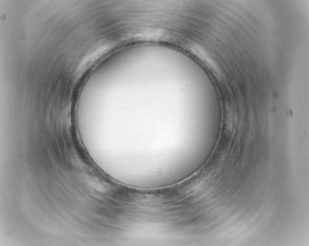 X0000088150486200705291426