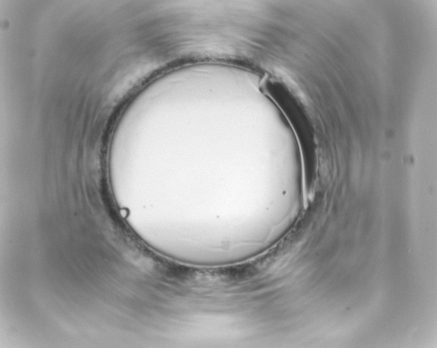 X0000088150487200705291426