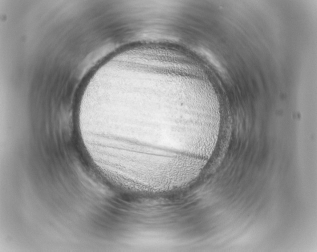 X0000088150488200705291426