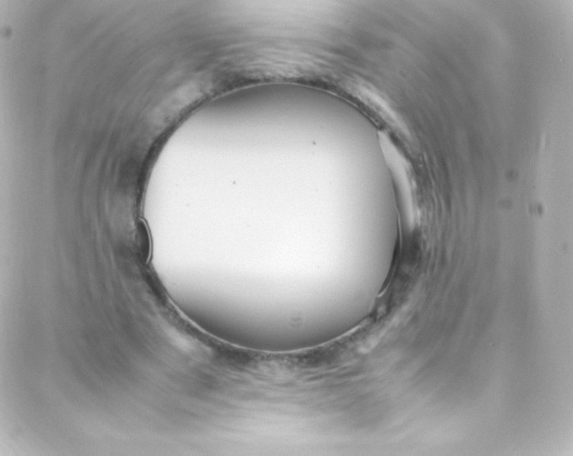 X0000088150489200705291426