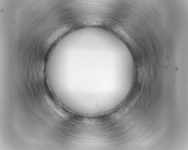 X0000088150490200705291426