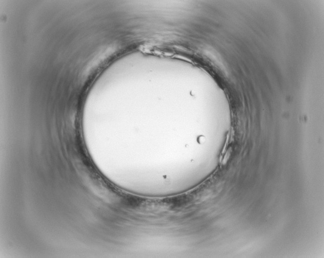 X0000088150491200705291426