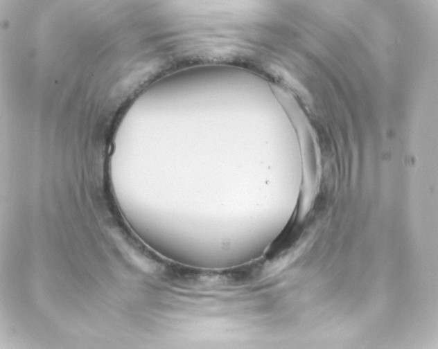 X0000088150493200705291426