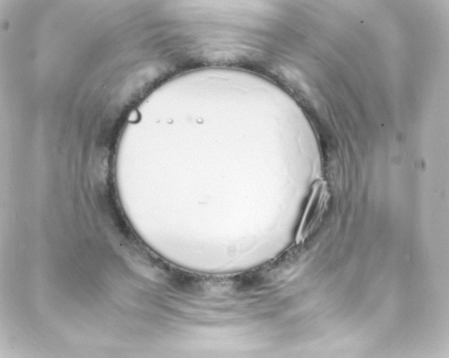 X0000088150495200705291426