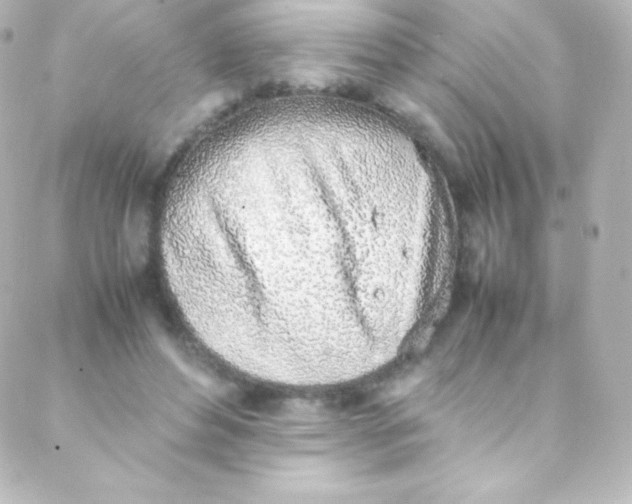 X0000088150496200705291426