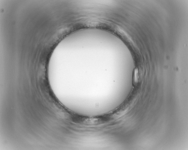 X0000088150497200705291426