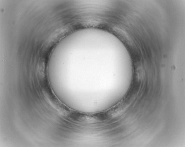 X0000088150498200705291426