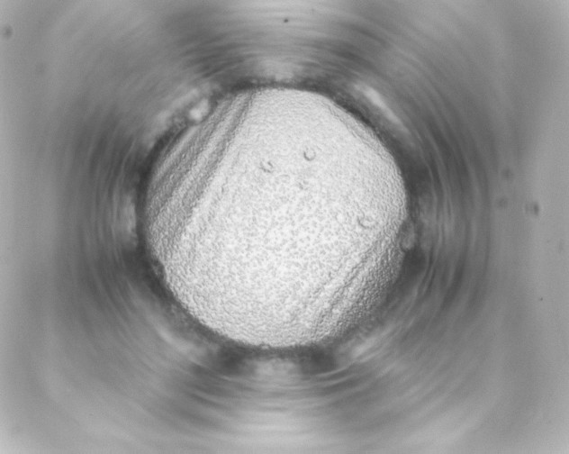 X0000088150500200705291426