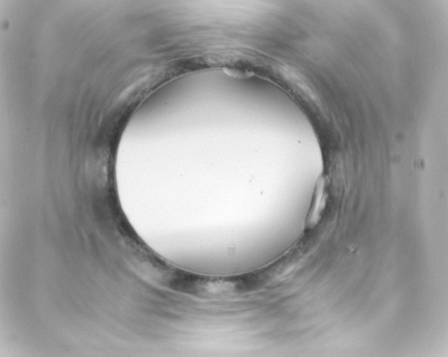 X0000088150501200705291426