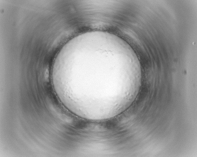 X0000088150502200705291426