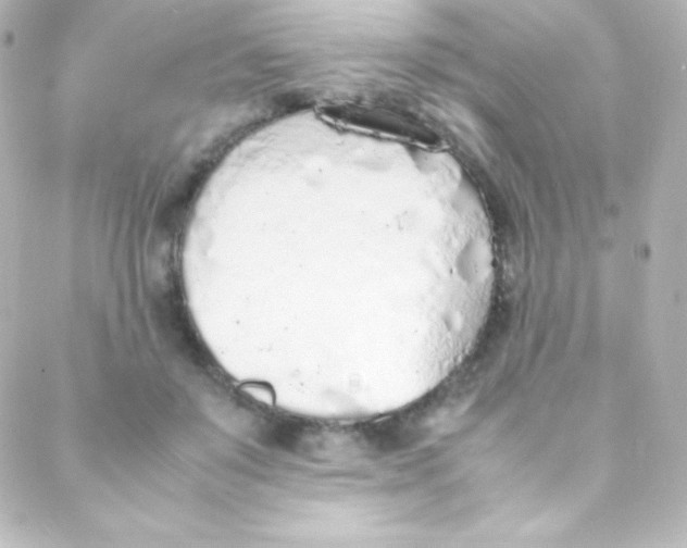 X0000088150503200705291426