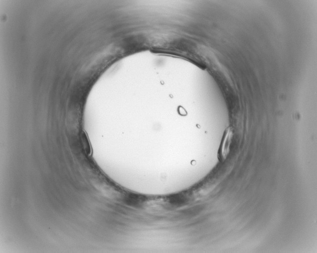 X0000088150505200705291426