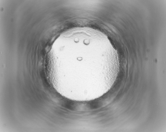 X0000088150507200705291426