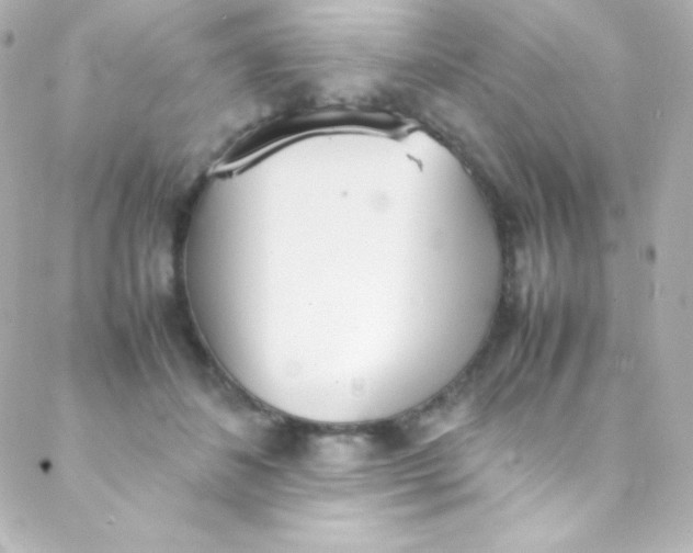 X0000088150508200705291426