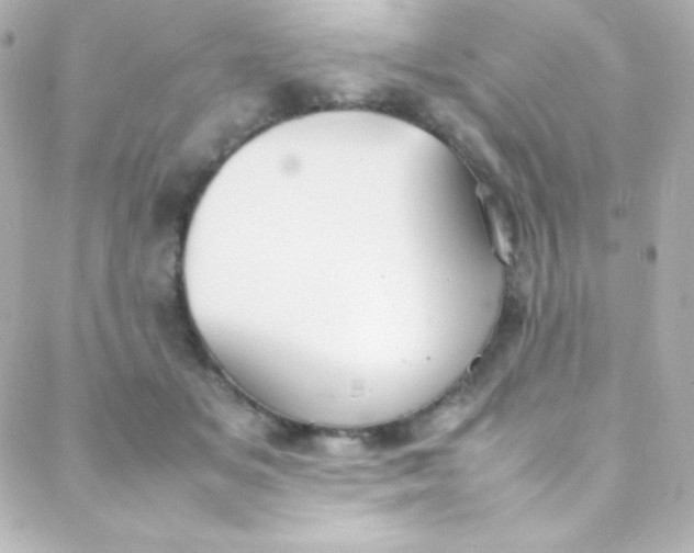 X0000088150509200705291426