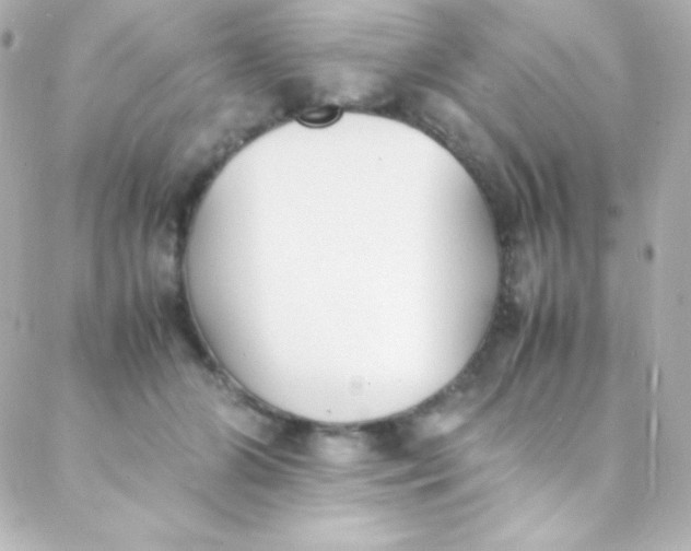 X0000088150510200705291426