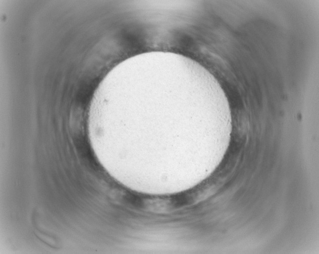 X0000088150511200705291426