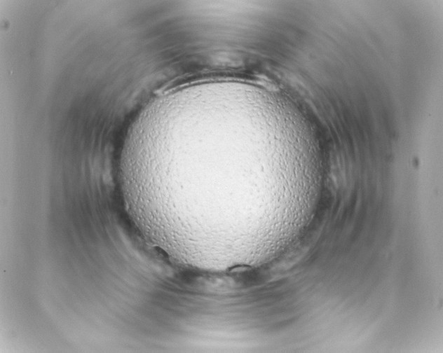 X0000088150512200705291426