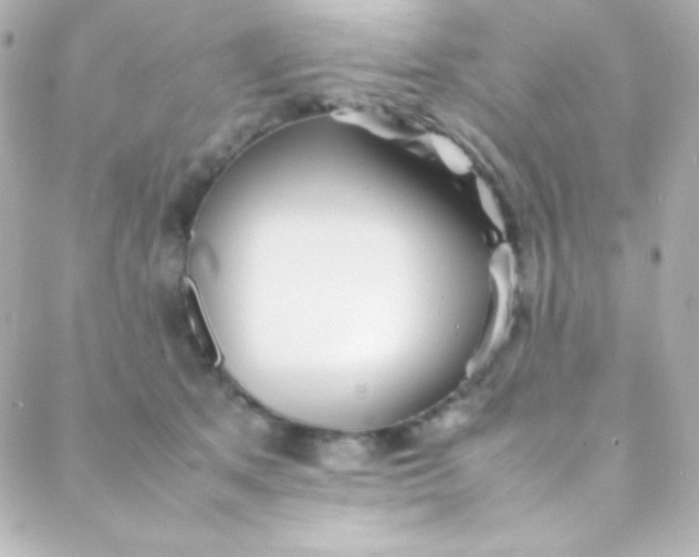 X0000088150513200705291426