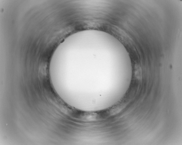 X0000088150514200705291426