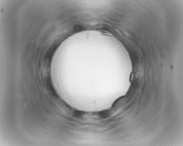 X0000088150515200705291426