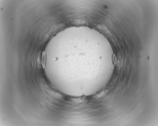 X0000088150516200705291426