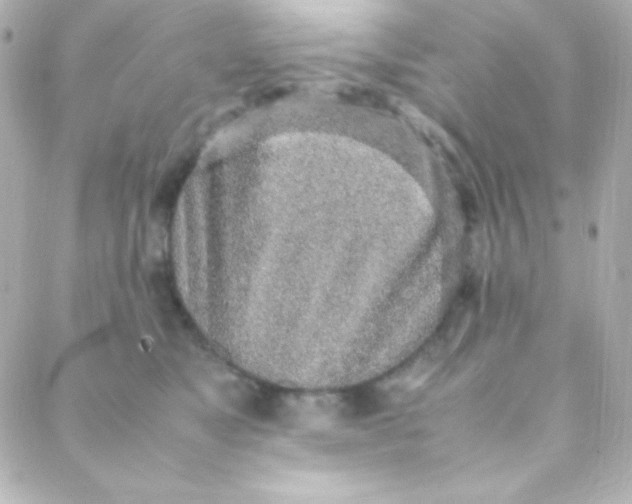 X0000088150517200705291426