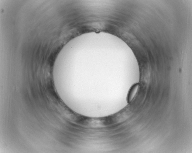 X0000088150518200705291426