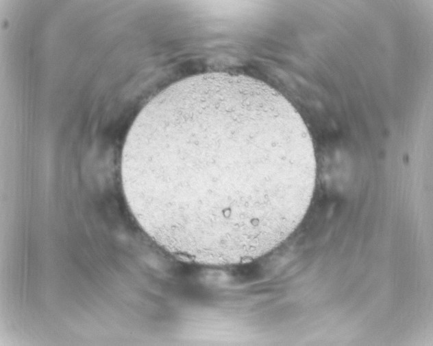 X0000088150519200705291426