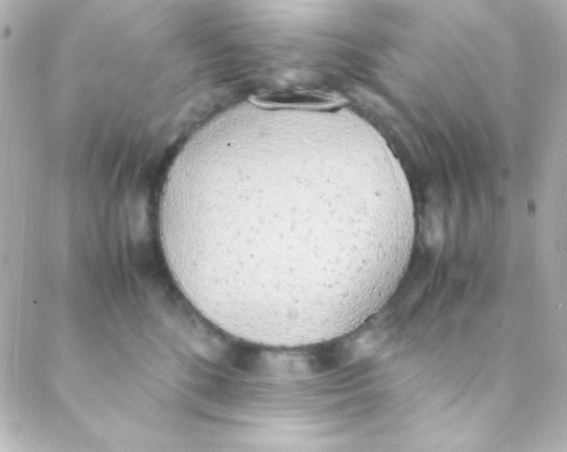 X0000088150520200705291426