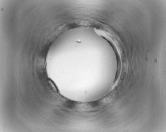 X0000088150521200705291426