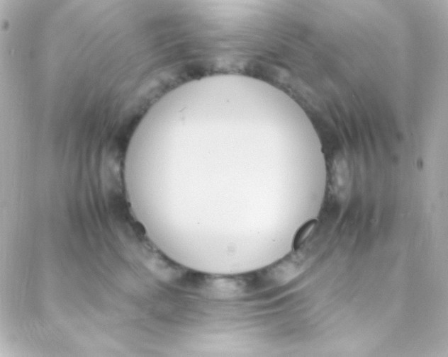 X0000088150522200705291426