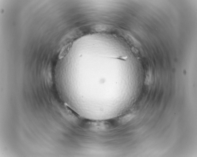 X0000088150524200705291426