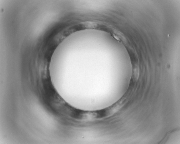 X0000088150525200705291426