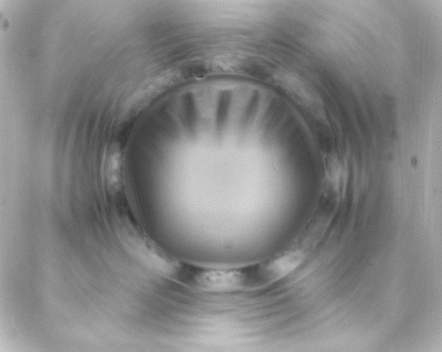 X0000088150526200705291426