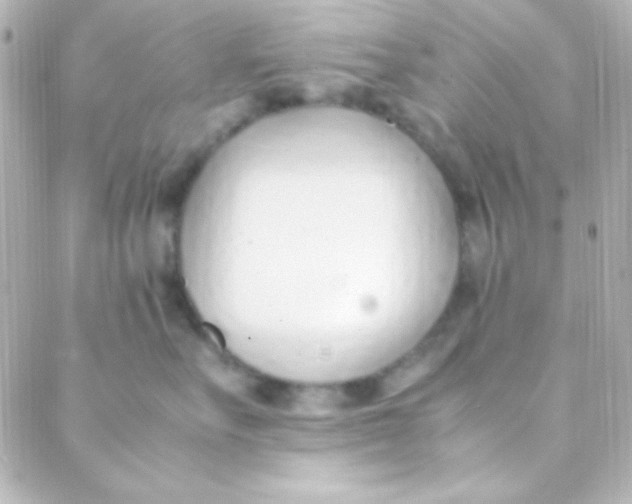 X0000088150527200705291426