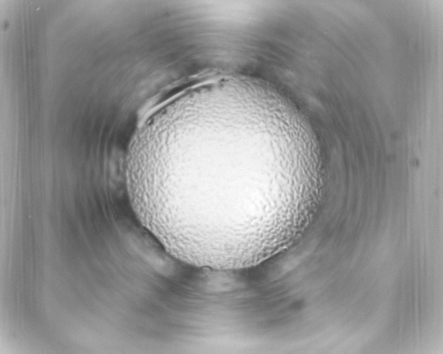 X0000088150528200705291426