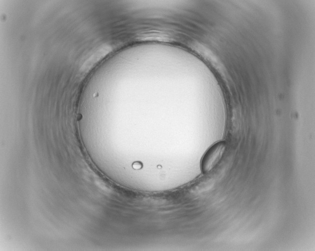 X0000088150529200705291425