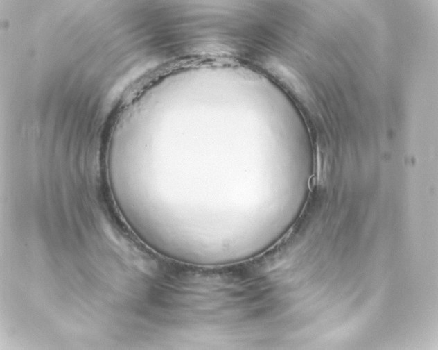 X0000088150531200705291425